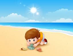 to collect shells